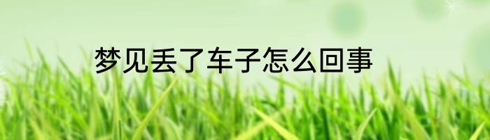 梦见丢了车子怎么回事