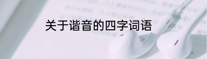 关于谐音的四字词语