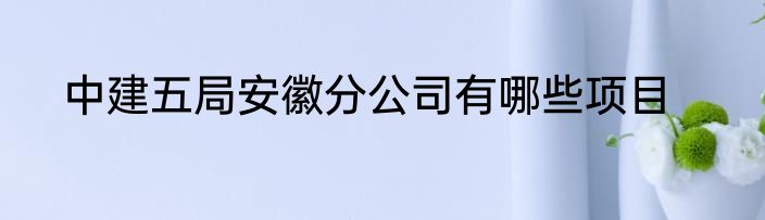 中建五局安徽分公司有哪些项目