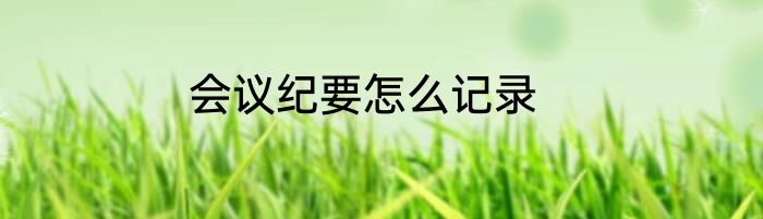 会议纪要怎么记录