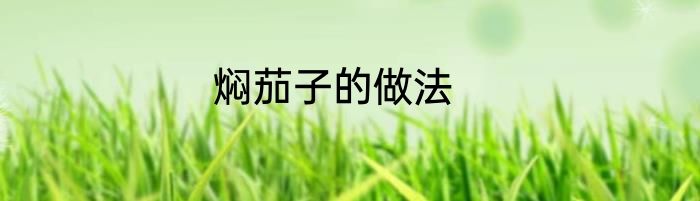 焖茄子的做法