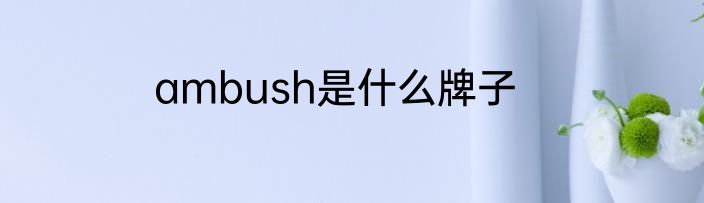 ambush是什么牌子