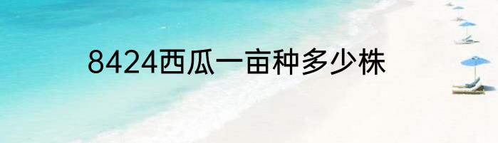8424西瓜一亩种多少株