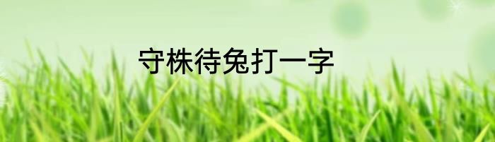 守株待兔打一字