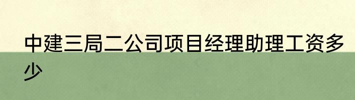 中建三局二公司项目经理助理工资多少