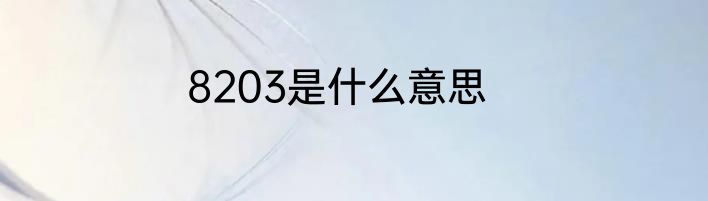 8203是什么意思