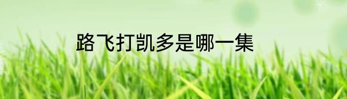 路飞打凯多是哪一集