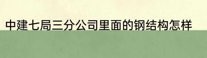 中建七局三分公司里面的钢结构怎样