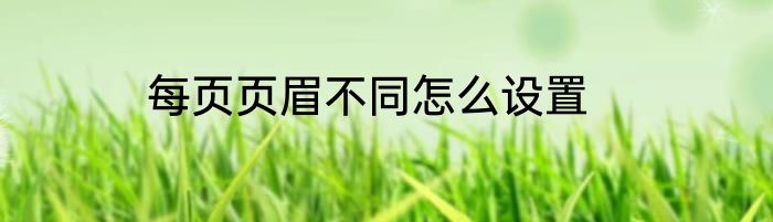 每页页眉不同怎么设置