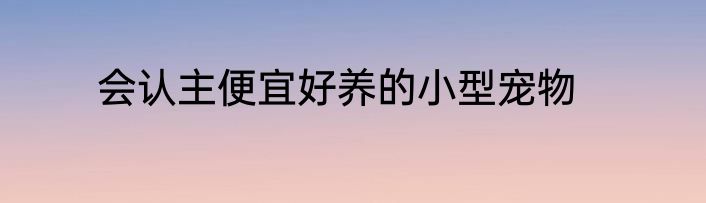 会认主便宜好养的小型宠物