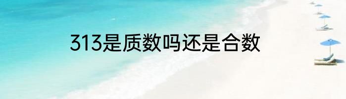 313是质数吗还是合数