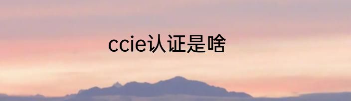 ccie认证是啥