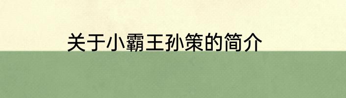 关于小霸王孙策的简介