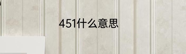 451什么意思