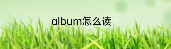 album怎么读