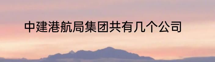中建港航局集团共有几个公司