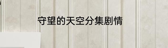 守望的天空分集剧情