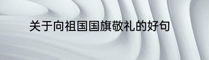 关于向祖国国旗敬礼的好句