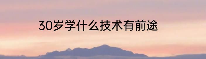 30岁学什么技术有前途