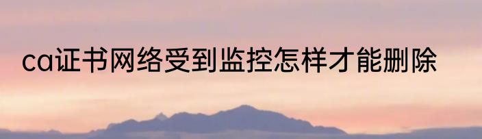 ca证书网络受到监控怎样才能删除