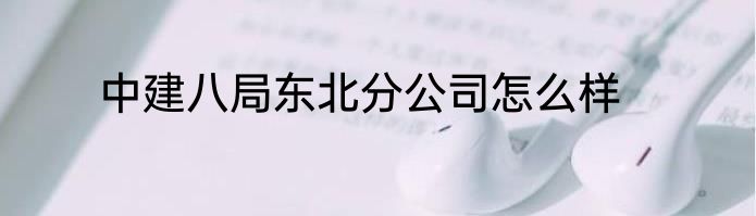 中建八局东北分公司怎么样