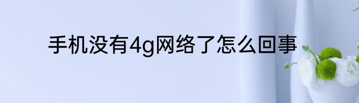 手机没有4g网络了怎么回事