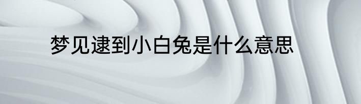 梦见逮到小白兔是什么意思