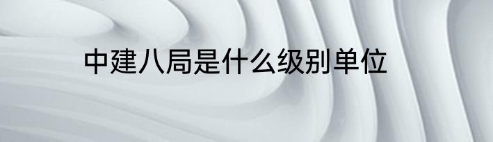 中建八局是什么级别单位