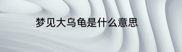 梦见大乌龟是什么意思