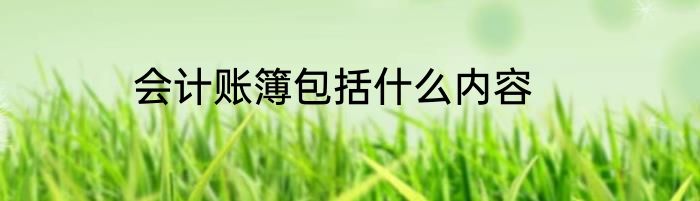 会计账簿包括什么内容