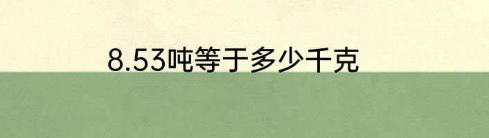 8.53吨等于多少千克