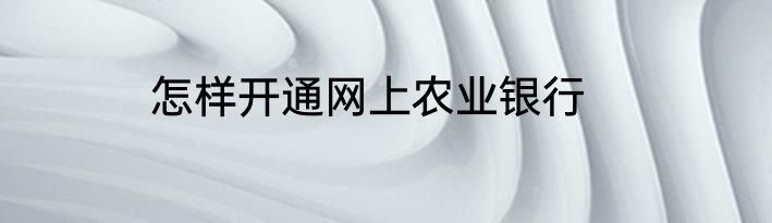 怎样开通网上农业银行