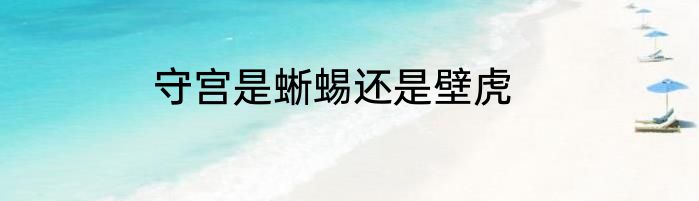 守宫是蜥蜴还是壁虎