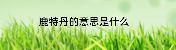 鹿特丹的意思是什么