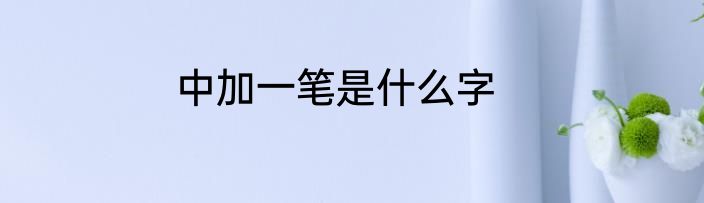中加一笔是什么字
