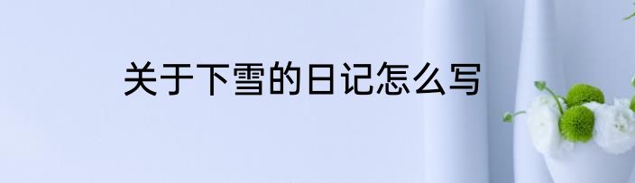 关于下雪的日记怎么写