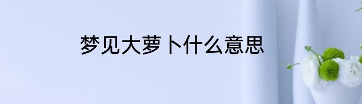 梦见大萝卜什么意思