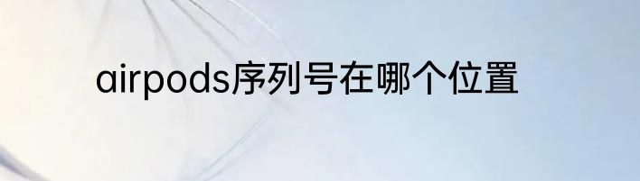 airpods序列号在哪个位置