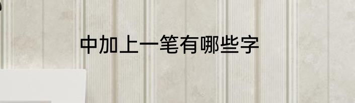 中加上一笔有哪些字