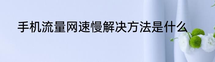 手机流量网速慢解决方法是什么