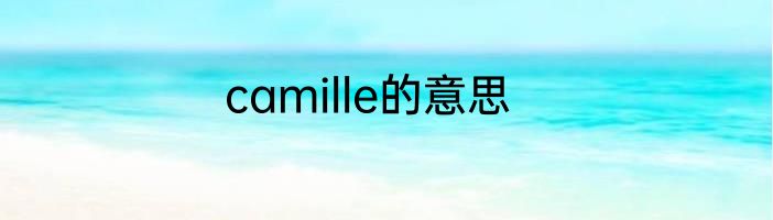camille的意思