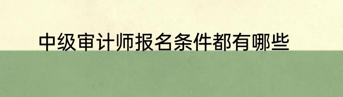 中级审计师报名条件都有哪些