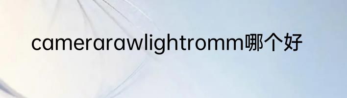camerarawlightromm哪个好