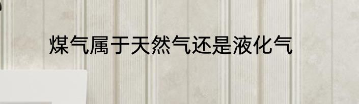 煤气属于天然气还是液化气