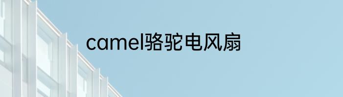 camel骆驼电风扇