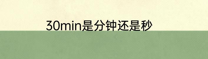 30min是分钟还是秒
