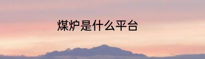 煤炉是什么平台