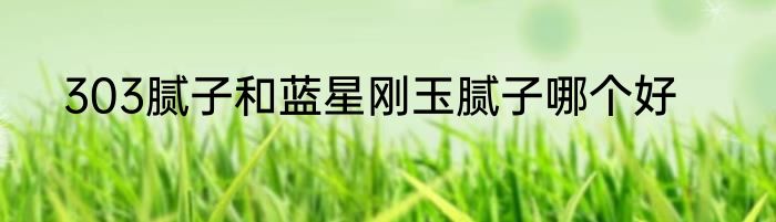 303腻子和蓝星刚玉腻子哪个好