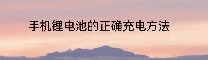 手机锂电池的正确充电方法