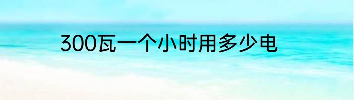 300瓦一个小时用多少电